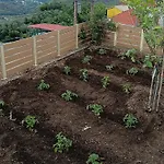 Casa de Férias Ainos Kambitsata