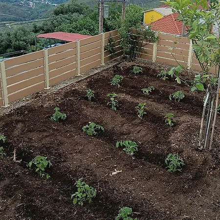 Holiday home Ainos Kambitsata