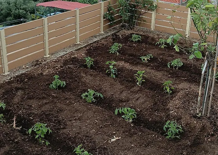 Σπίτι διακοπών Ainos Kambitsata